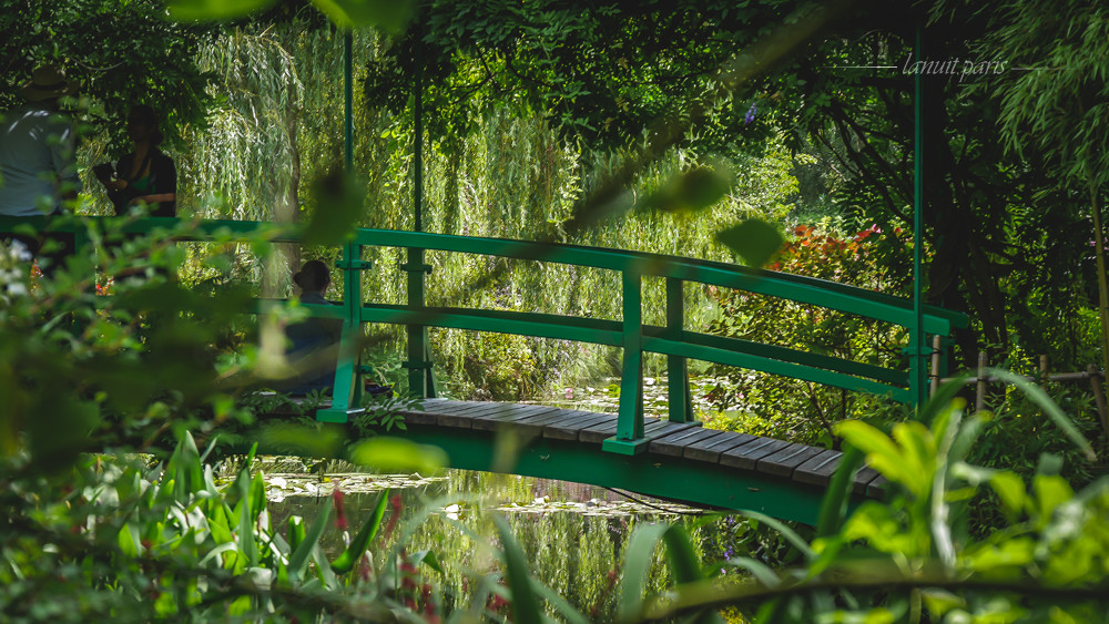 Claude Monet's garden, Giverny.