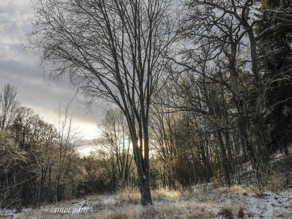 Winter. Frost, Stockholm