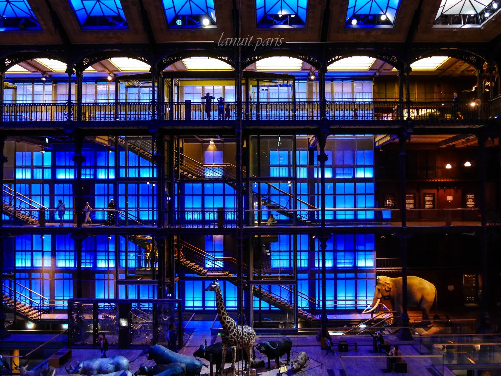 La grande galerie du Museum d'histoire naturelle, Paris