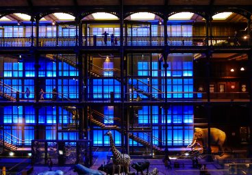 La grande galerie du Museum d'histoire naturelle, Paris
