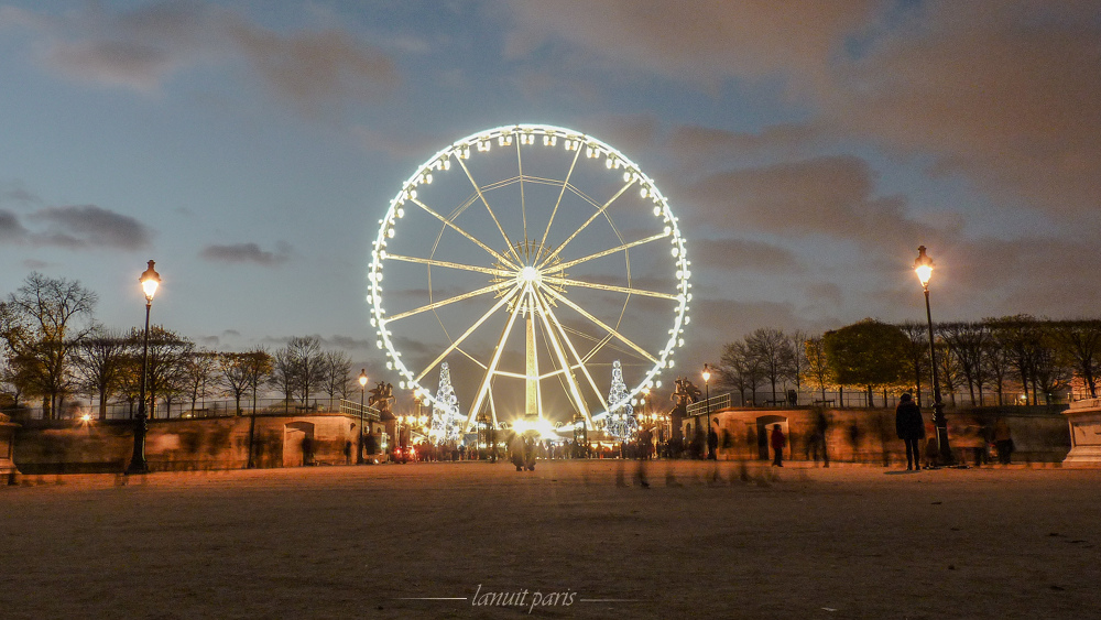 The tuileries in winter, Paris.