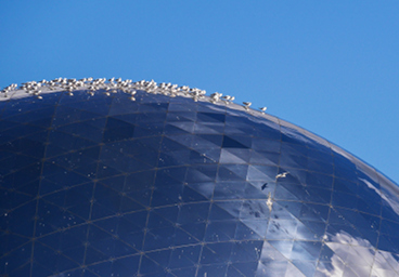 Planète bleue, Paris