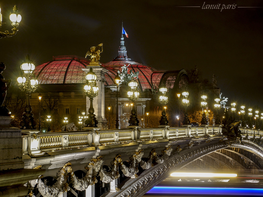 The Grand Palais, Paris
