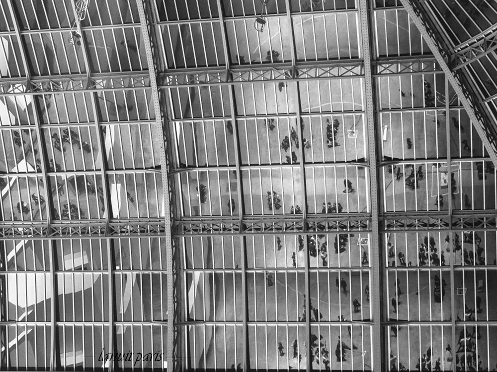 Grand Palais, glass canopy, Paris