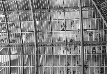 Verrière du Grand Palais, Paris