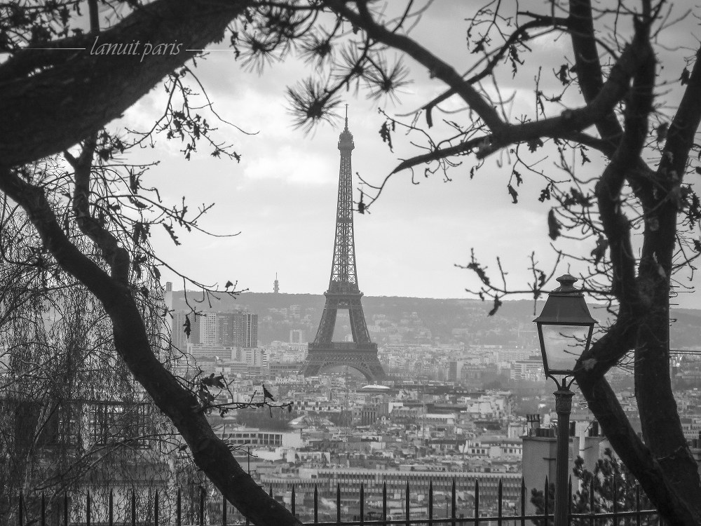 The Eiffel Tower, Paris