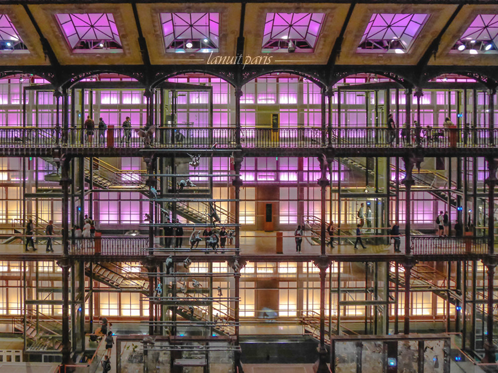 La grande galerie du Museum, Paris