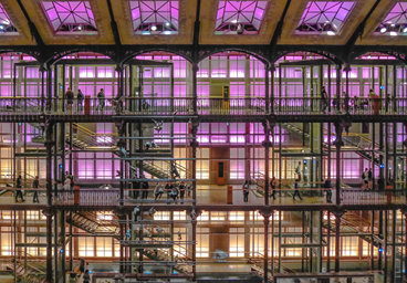 La grande galerie du Museum, Paris