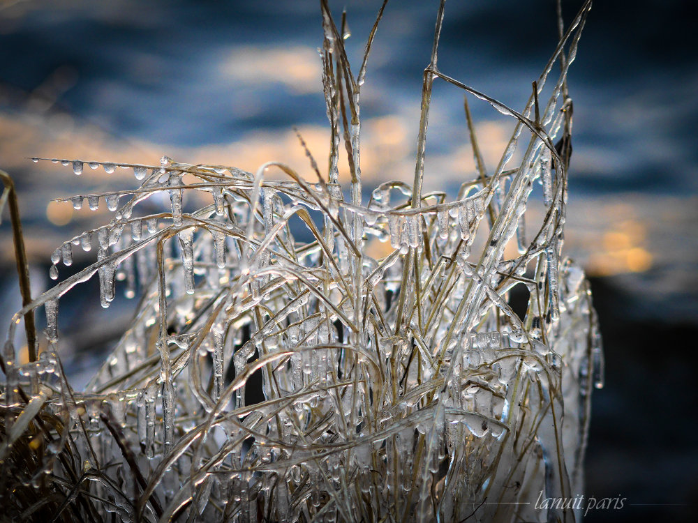 Iced dancers on the lake, Stockholm