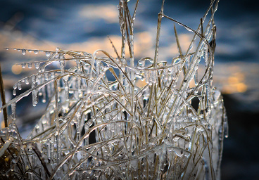 Iced dancers on the lake, Stockholm
