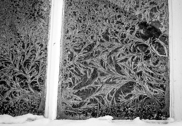 Fine laces of frost, Stockholm