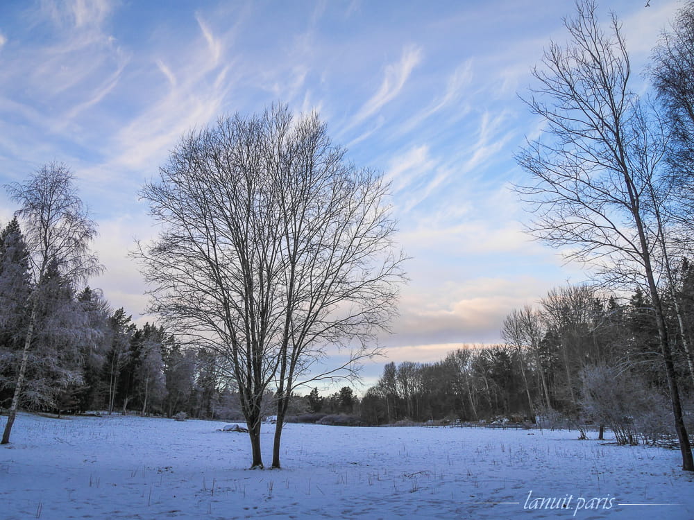 Winter sky, Stockholm