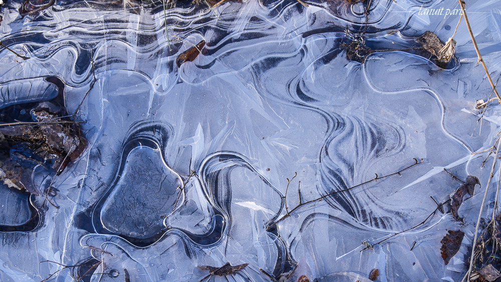 Arabesque of ice, Stockholm