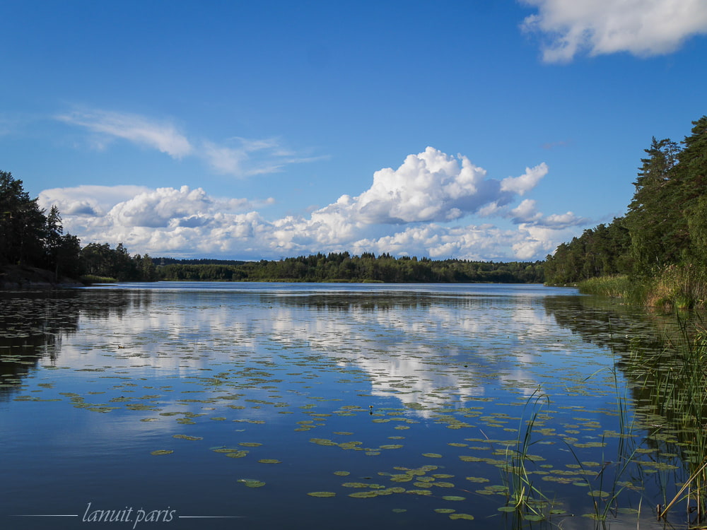 A day of spring, Stockholm