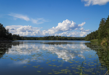 A day of spring, Stockholm