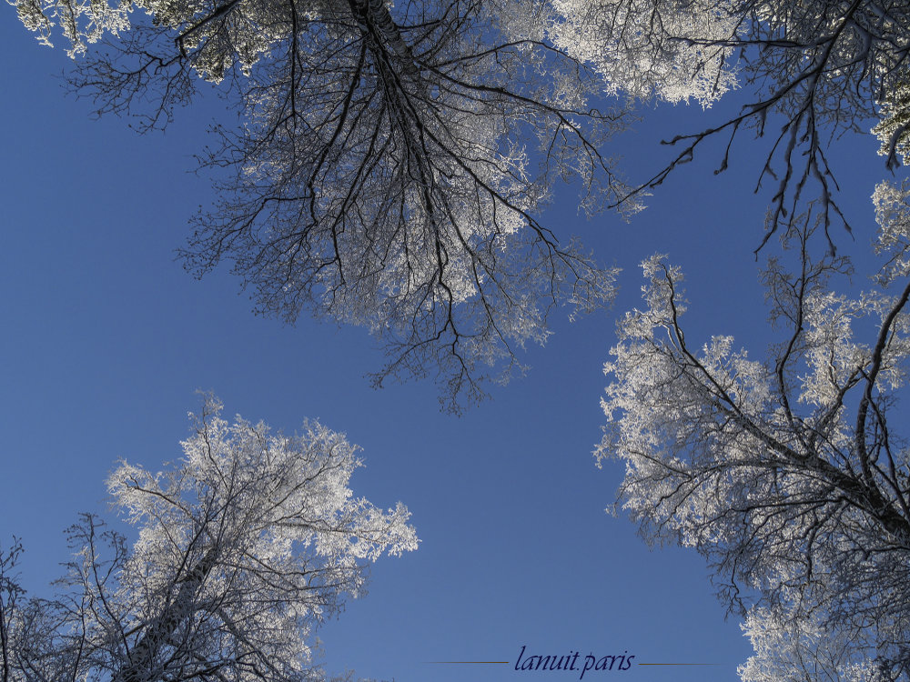 A walk in Wonderland, Stockholm