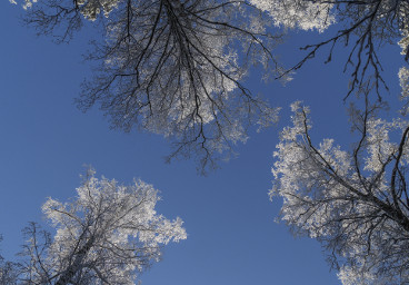 A walk in Wonderland, Stockholm