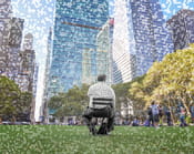 The business man, New York