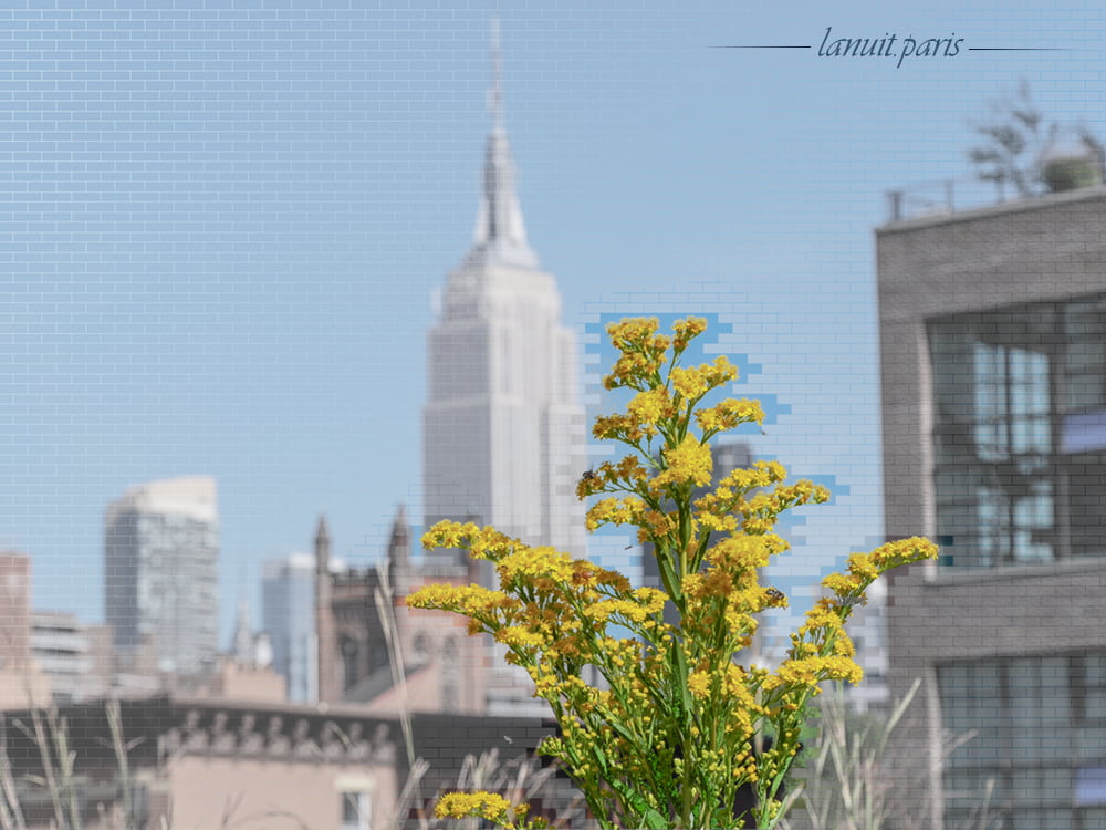 High Line, New York