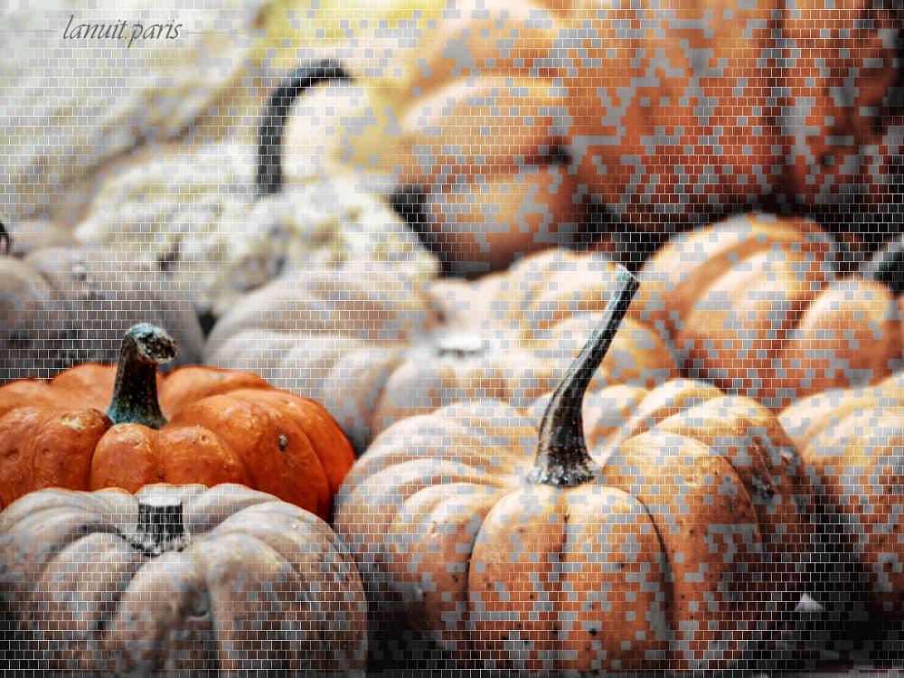 Citrouilles et potirons, Suède