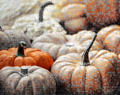 Pumpkin, Sweden